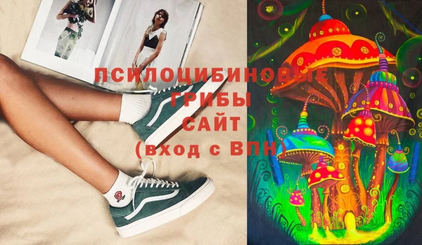 спиды Богородицк