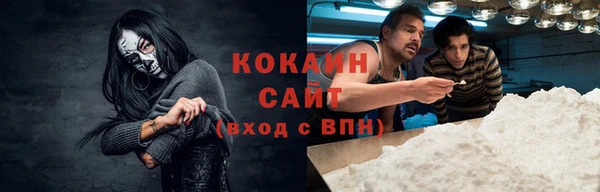 спиды Богородицк