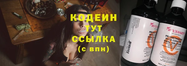 спиды Богородицк