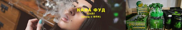 трава Белокуриха