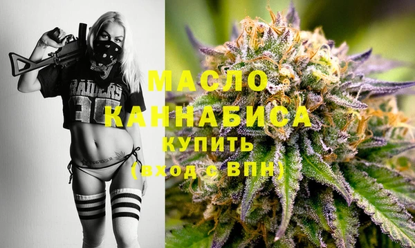 спиды Богородицк