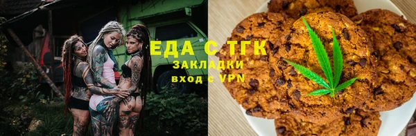 спиды Богородицк