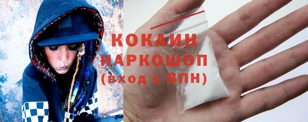 спиды Богородицк