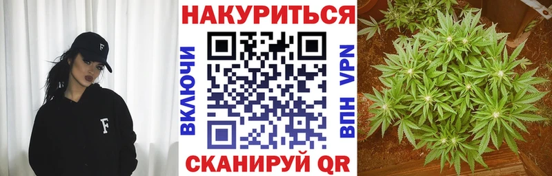 закладки  Ессентуки  МАРИХУАНА марихуана 